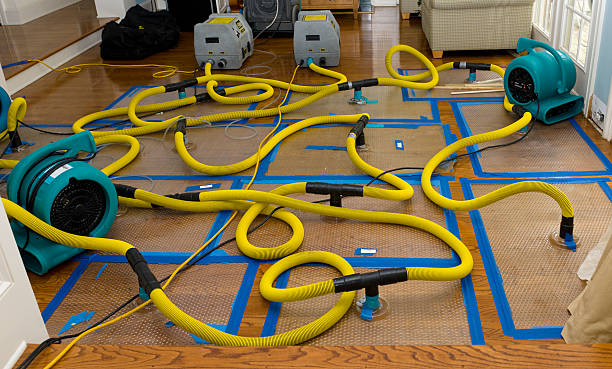 Professional Storm Water Damage Restoration technician working in Kelleys Island, OH